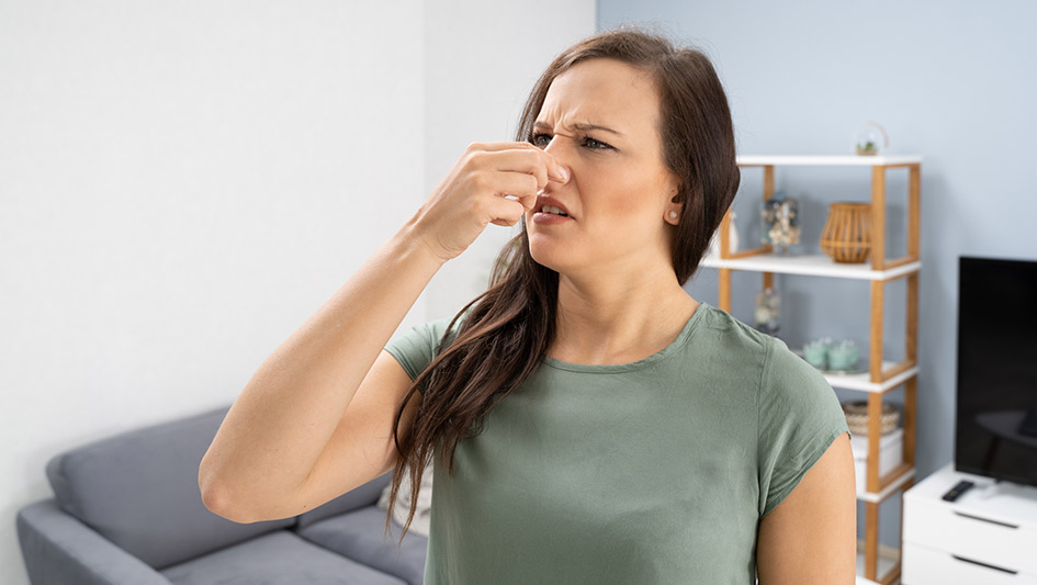 Six Common Air Conditioner Smells Answered and How to Repair the Issue